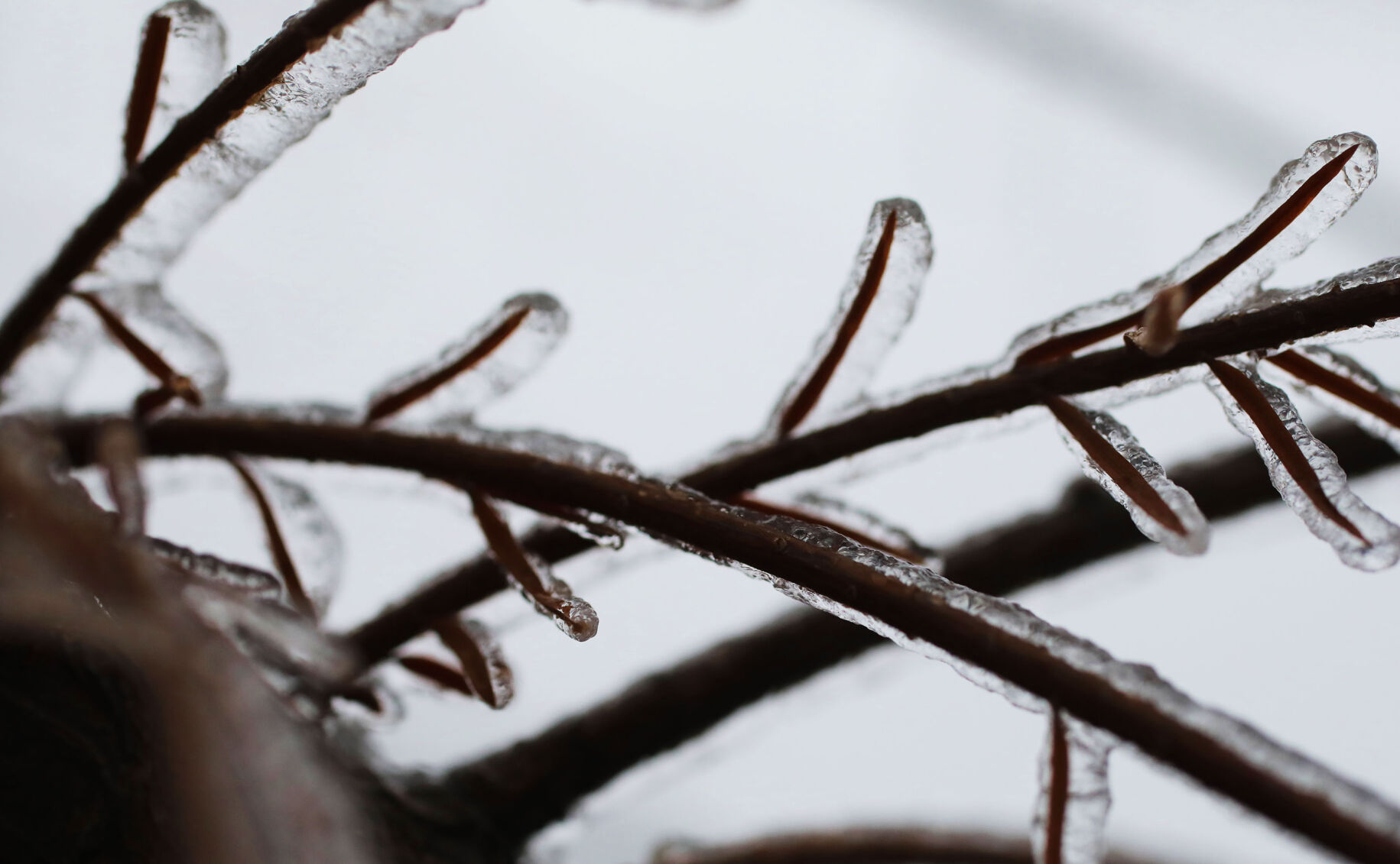 Icy Weather